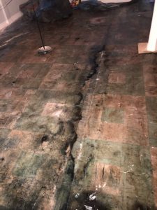 Toronto Mold remediation Mold found under flooring