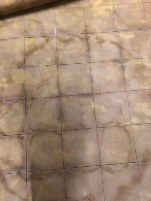 Mold remediation in bathroom in flat in York ON CA