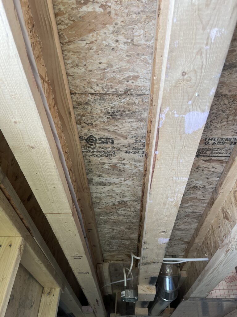 Mold in drywall in York ON