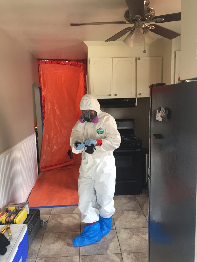 Mold removal in kitchen in York ON
