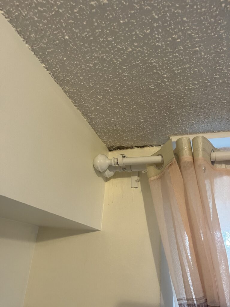 Black mold removal from ceiling in East York