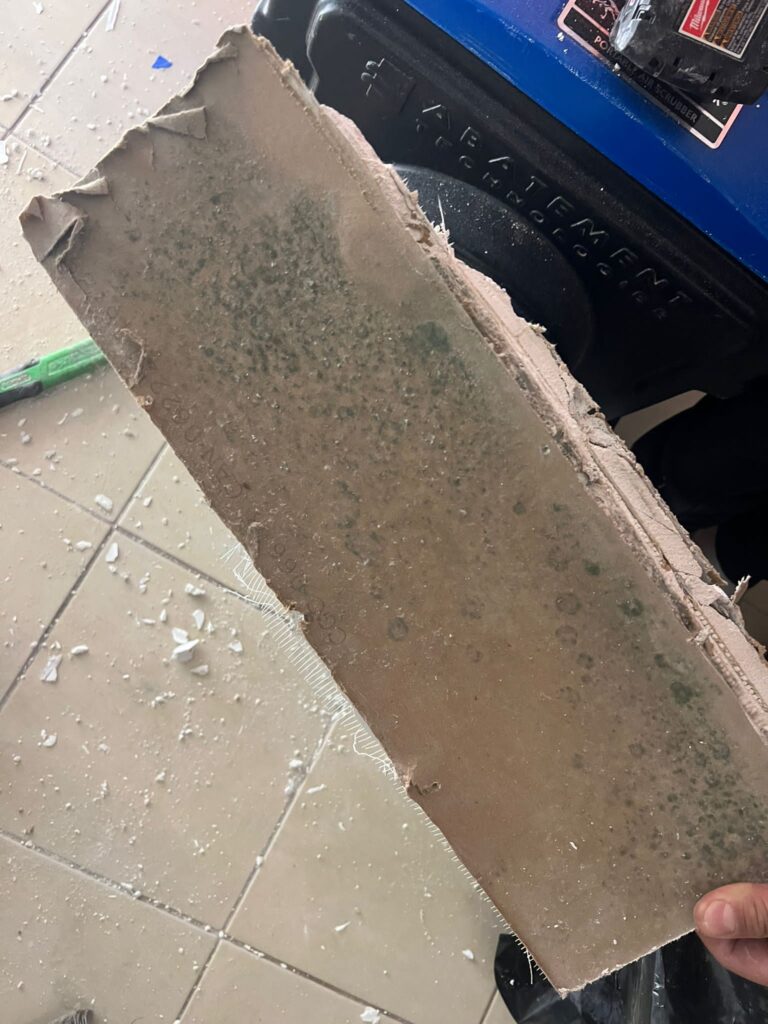 Drywall mold removal