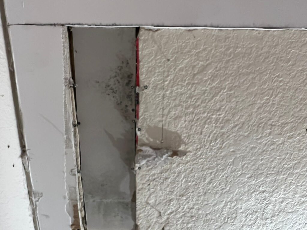 Drywall mold remediation in East York ON