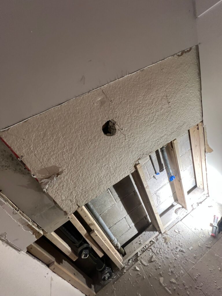 Mold removal from inside of drywall in East York